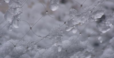 雪