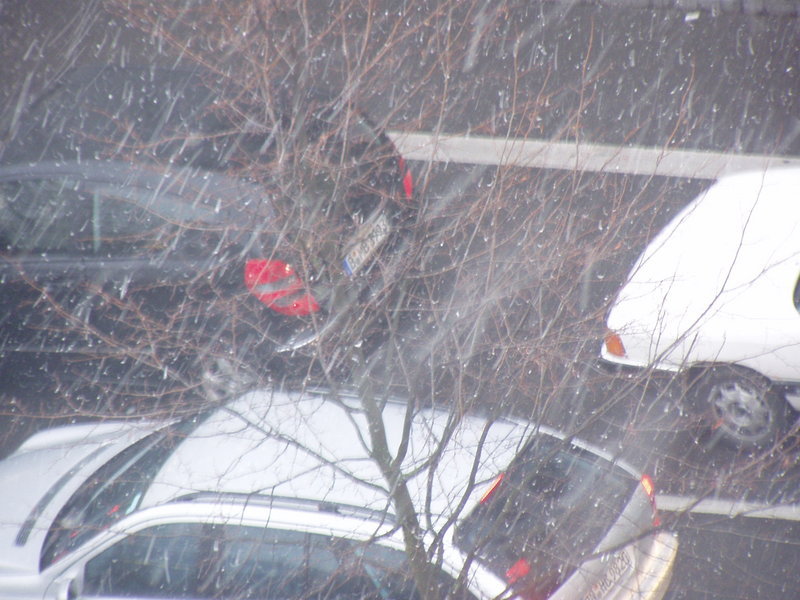 ベルリンの雪　2006年12月
